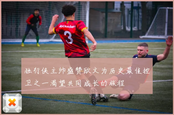 独行侠主帅盛赞欧文为历史最佳控卫之一渴望共同成长的旅程
