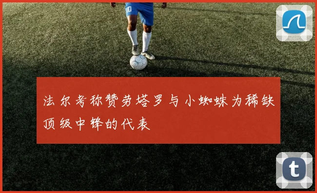 法尔考称赞劳塔罗与小蜘蛛为稀缺顶级中锋的代表